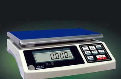 耐克斯ZNS系列高精度计重秤耐克斯1.5-30公斤工厂配料秤